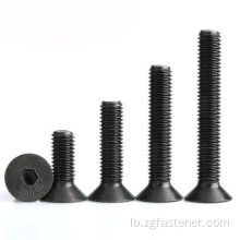 12,9 Grad Black Oxide Hexagon Socket Counterketkesch Schrauwen